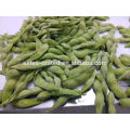 IQF soybeans